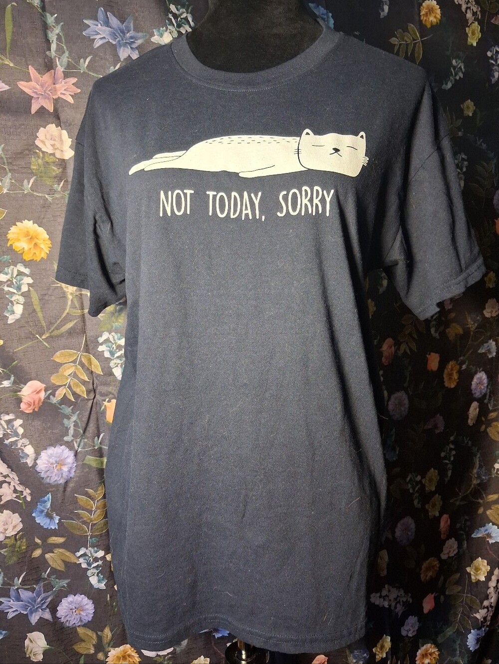 Cat Lover Not Today, Sorry Black Cat Graphic Tee - Pets Reptile